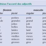 What is Gros in masculine plural?