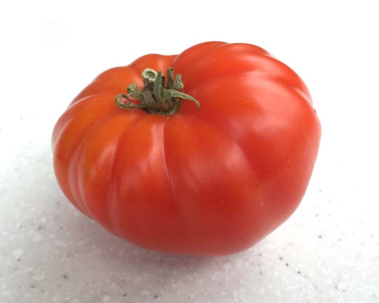 What is Grosse Lisse?