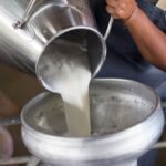 What is La Leche mean?