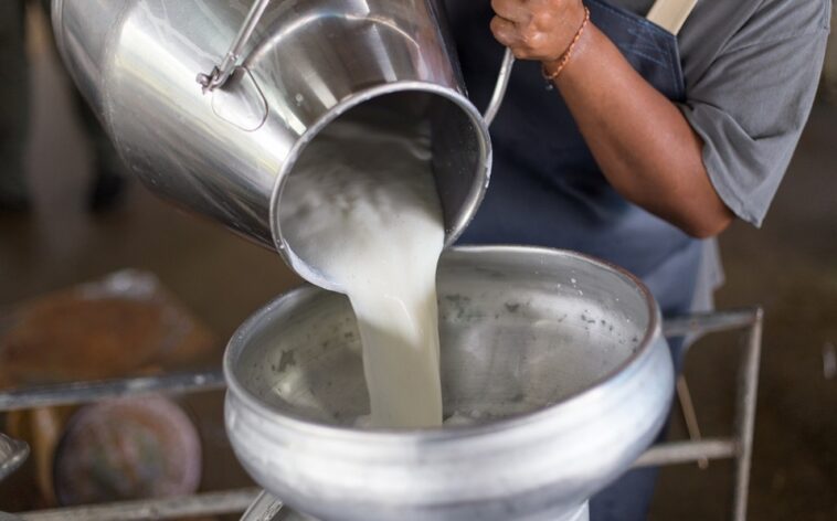 What is La Leche mean?