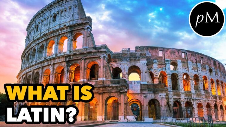 What is Latin other?