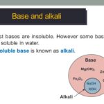 What is Moisturiser base?