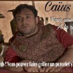 What is Opposite of gros in French?