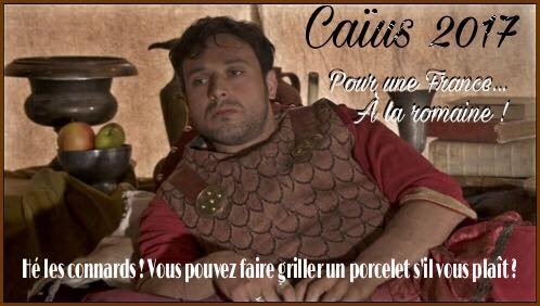 What is Opposite of gros in French?