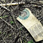 What is Starbucks environmental impact?