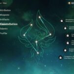 What is Xiao constellation name?