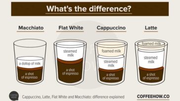 What is a cappuccino vs latte?