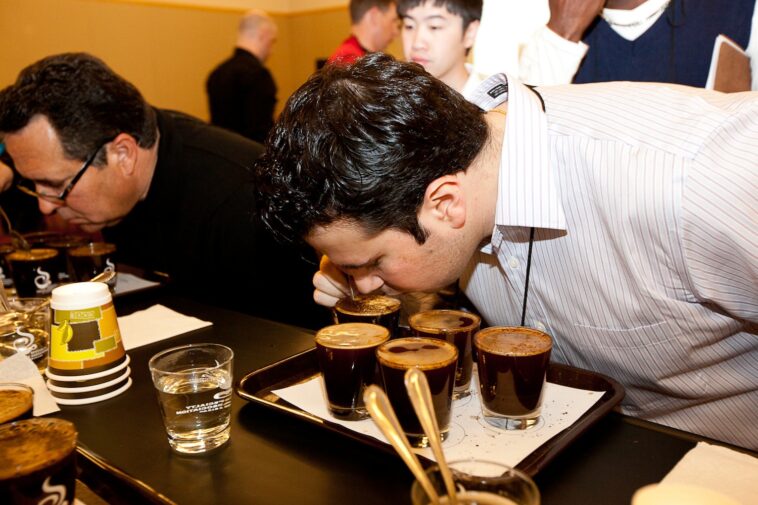 What is a coffee taster called?