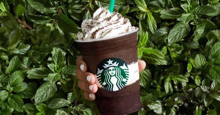 What is a dark mocha frappuccino?