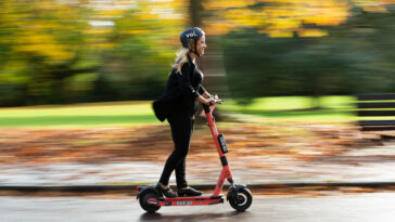 What is a daydreamer at scooters?