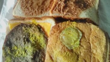 What is a gross person?