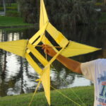 What is a winged box kite?