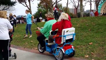 What is an ECV scooter?