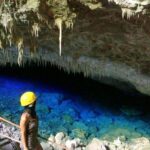 What is bonito in English?