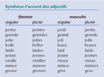 What is feminine for Gros?