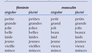 What is gros in French feminine?