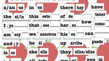 What is the Italian word for mini?