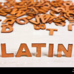 What is the Latin word for egotistical?