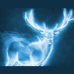 What is the Patronus charm?
