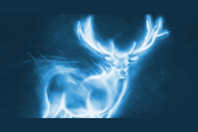 What is the Patronus charm?