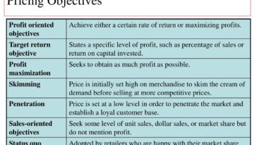 What is the best pricing objective?