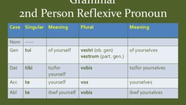 What is the case of Tibi Latin?