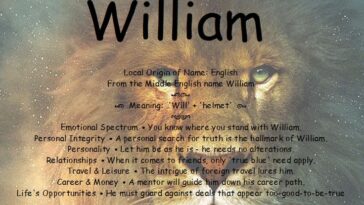 What is the definition of the word illusive?