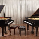 What is the difference between Grand and Grande in French?