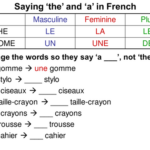 What is the difference between Le La L and Les in French?