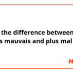 What is the difference between Mal and Mauvais?