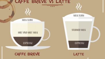 What is the difference between a latte and a breve?