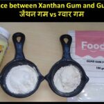 What is the difference between xanthan gum and cornstarch?