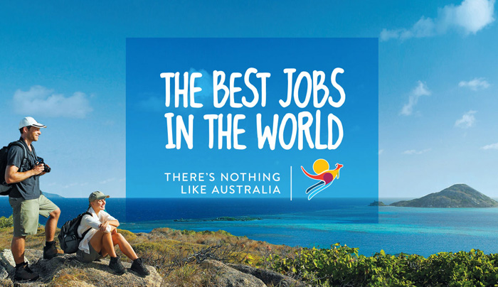 What is the easiest job in the world?