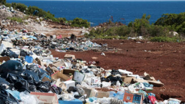 What is the environmental impact of Starbucks?