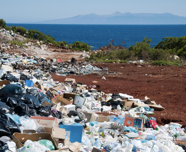 What is the environmental impact of Starbucks?