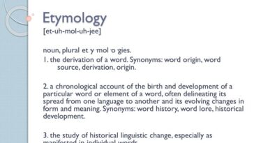 What is the etymology of the word provide?