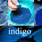 What is the feminine form of Azul?