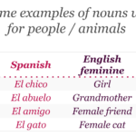 What is the feminine form of Grande in Spanish?