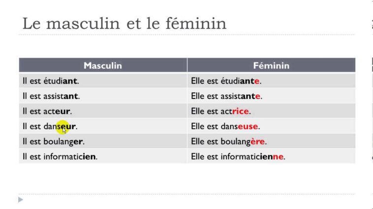 What is the feminine form of large in French?