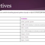 What is the feminine form of the adjective Gros and grand?