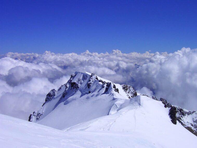 What is the feminine of Blanc?