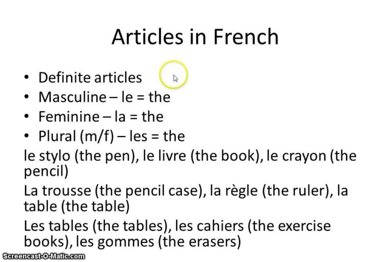 What is the feminine of big in French?