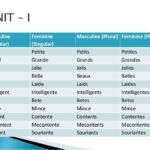 What is the feminine of mince in French?