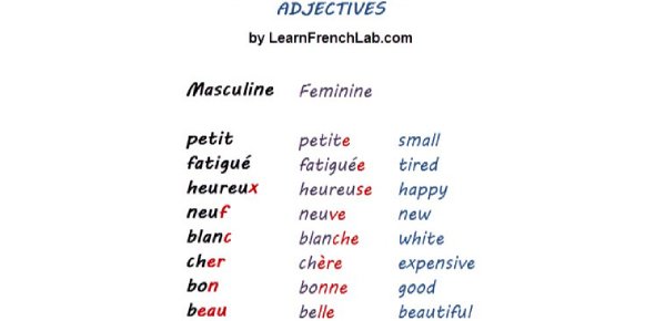 What is the feminine of petite in French?