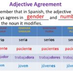 What is the feminine version of interesante in Spanish?