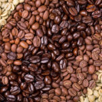 What is the highest quality coffee bean?