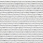 What is the longest Italian word?