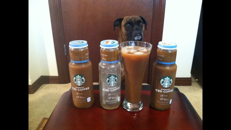 What is the lowest calorie iced coffee at Starbucks?