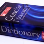 What is the main Spanish dictionary?