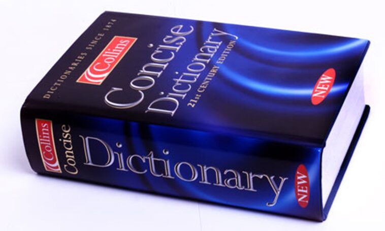 What is the main Spanish dictionary?